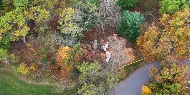 ABD’de Küçük uçak Ormana Düştü, 6 Kişi Hayatını Kaybetti